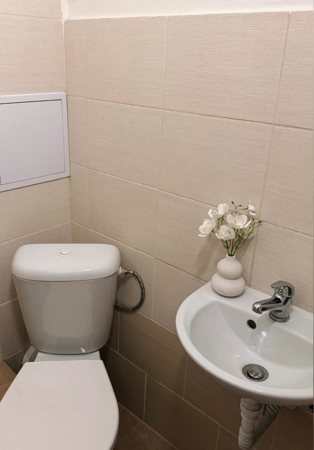 Apartment Cozy Near Prag